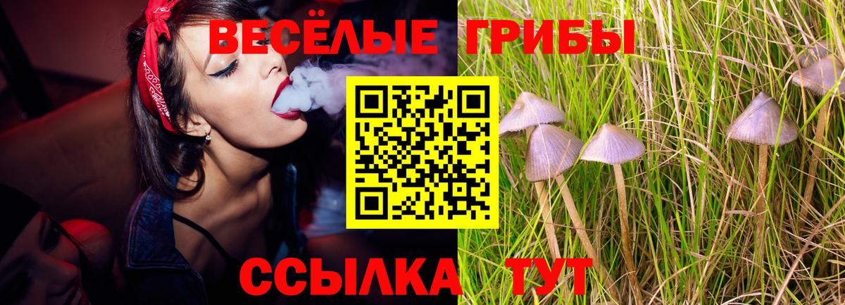 Галлюциногенные грибы мицелий Сегежа