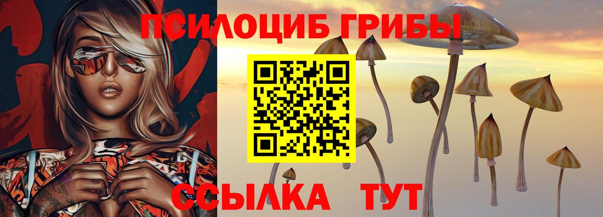 Галлюциногенные грибы Magic Shrooms  как найти закладки  Вход с VPN  Сегежа  Галлюциногенные грибы Psilocybe 